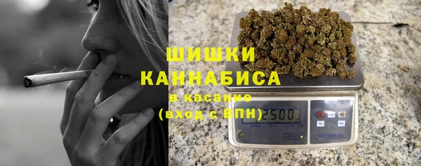 PSILOCYBIN Мегион
