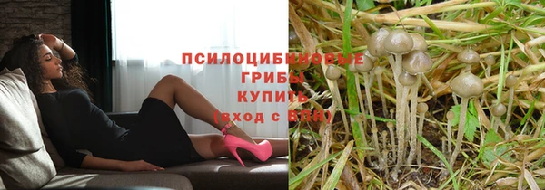 PSILOCYBIN Мегион