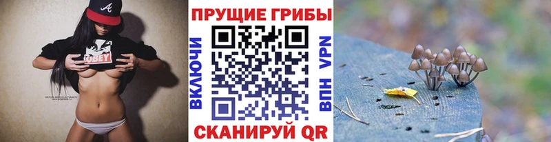 Галлюциногенные грибы мицелий  Сатка 
